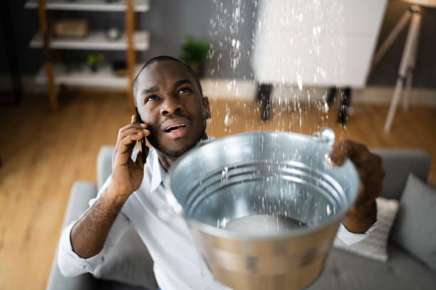 Best Water damage contractors near me  in Patterson, CA