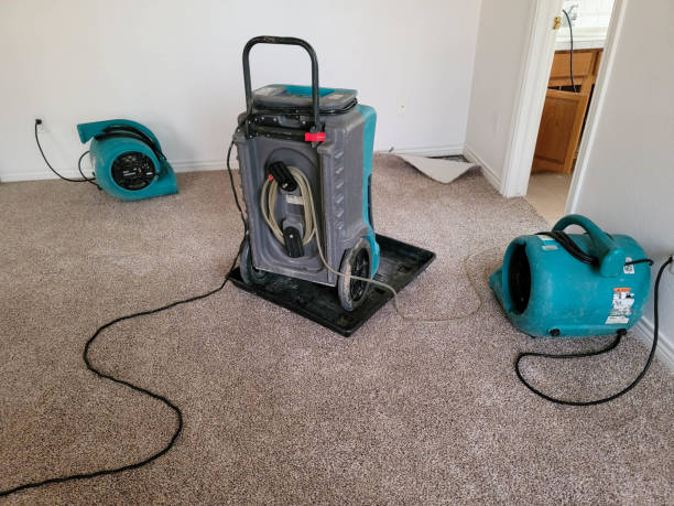 Trusted Patterson, CA Water damage restoration Experts