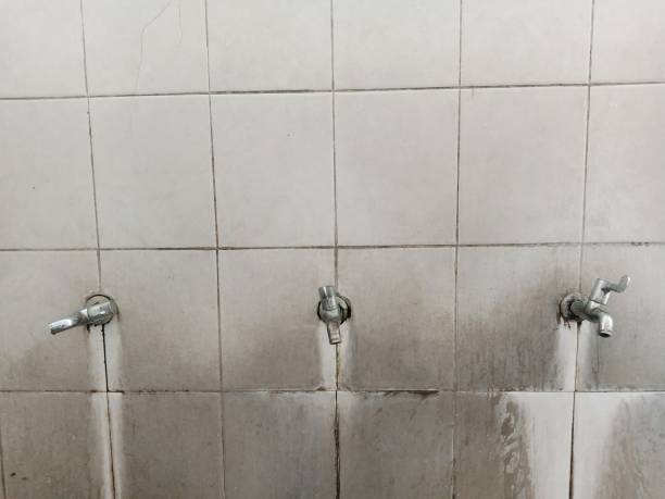 Best Flood restoration services  in Patterson, CA